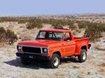 Ford F-100 1978 года